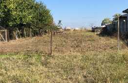 Casă parter 90 mp utili cu teren generos de 1.835 mp, zona Malu Mare