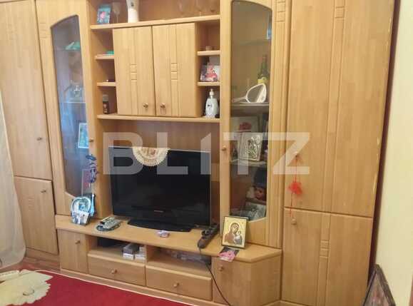 Garsonieră de vânzare Valea Rosie - 65458AV | BLITZ Craiova | Poza1