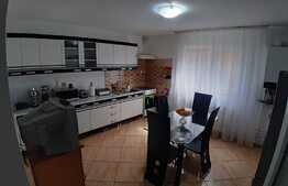 Casă deosebită P + E 152 mp utili și curte 509 mp, în cartierul Romanești