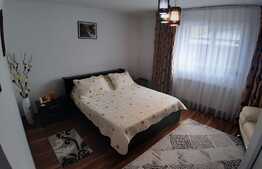 Casă deosebită P + E 152 mp utili și curte 509 mp, în cartierul Romanești