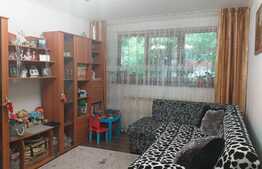 Apartament 2 camere Brazdă 