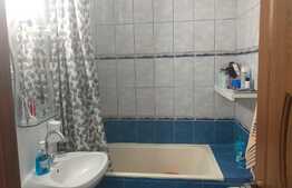 Apartament 2 camere Brazdă 