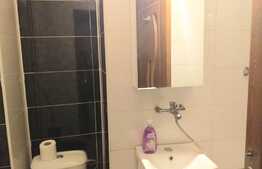 3 camere, etaj 3, Valea Rosie