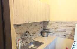 3 camere, etaj 3, Valea Rosie