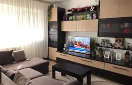 Apartament 2 camere, zona George enescu
