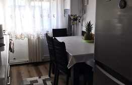 Apartament 2 camere, zona George enescu