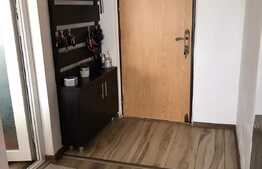 Apartament 2 camere, zona George enescu