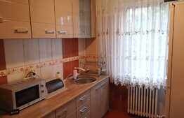 Apartament cu 2 camere, semidecomandat, zona Brazda