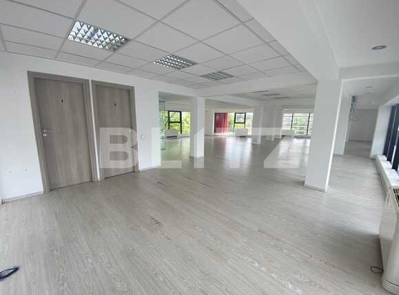 Spațiu birouri de închiriat Calea Bucuresti - 66028SIB | BLITZ Craiova | Poza4