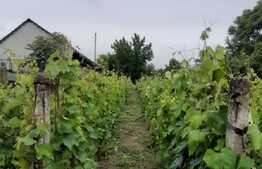 REDUCERE PREȚ! Vânzare teren de 900 mp, zona Bariera Vâlcii