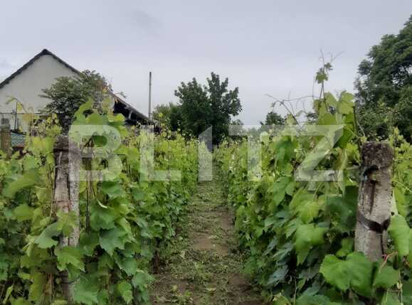 Teren de vânzare Bariera Valcii - 66059TV | BLITZ Craiova | Poza1