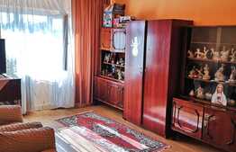 Apartament de 2 camere, 49 mp, zona 1 Mai