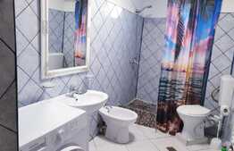 Apartament 2 camere + mansarda, 50mp, zona Sfantul Dumitru