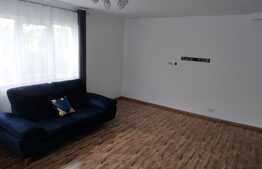 Casă P + M 141 mp utili cu 500 mp curte, cartier Veteranilor