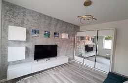 Apartament 1 camera, 42mp, modern, zona Agronomie