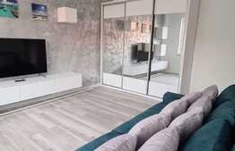 Apartament 1 camera, 42mp, modern, zona Agronomie