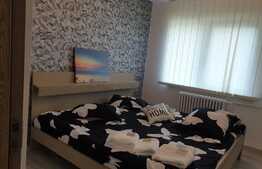 Apartament 2 camere, 50mp, zona Curtea de Apel