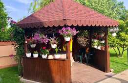 Vila cu piscina, perfecta pentru familia ta, zona Metro