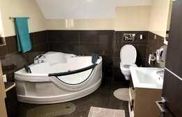 Vila cu piscina, perfecta pentru familia ta, zona Metro