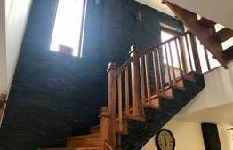 Vila cu piscina, perfecta pentru familia ta, zona Metro