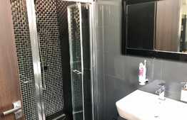 Vila cu piscina, perfecta pentru familia ta, zona Metro