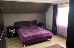 Vila cu piscina, perfecta pentru familia ta, zona Metro