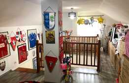 Vila cu piscina, perfecta pentru familia ta, zona Metro