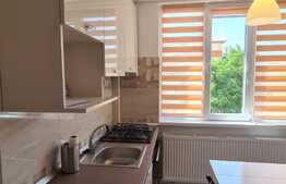 Apartament 2 camere, prima inchiriere, 50 mp, zona Brazda lui Novac