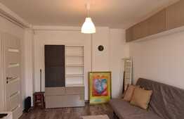 Apartament 2 camere, prima inchiriere, 50 mp, zona Brazda lui Novac
