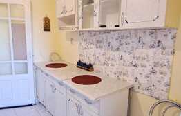 Apartament 2 camere, 45 mp, zona Bd-ul Dacia