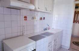 Apartament 2 camere, 45 mp, zona Bd-ul Dacia