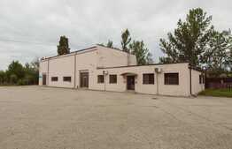 Hala+birouri la cheie in Craiova, zona industriala.