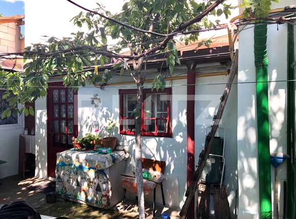 Casa de vânzare 3 camere Central - 67567CV | BLITZ Craiova | Poza3