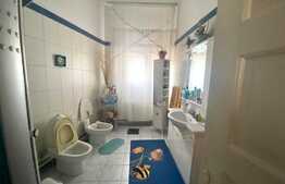 Casa in zona Gradinii Botanice, 416 mp teren, 211 mp! Ideal locuinta sau investitie