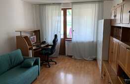 Apartament de 2 camere, 45 mp, zona Severinului!