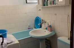 Apartament de 2 camere, 45 mp, zona Severinului!