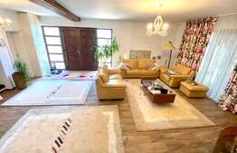 Vila superba P+M la cheie, 260 mp utili, 500 mp teren, zona Damila!