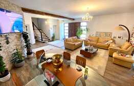 Vila superba P+M la cheie, 260 mp utili, 500 mp teren, zona Damila!