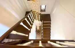 Vila superba P+M la cheie, 260 mp utili, 500 mp teren, zona Damila!