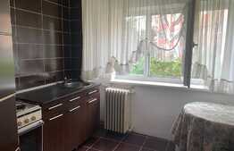 Apartament de 2 camere, 48 mp, etaj intermediar, zona Craiovita!
