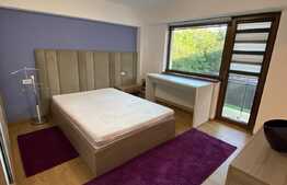 Apartament de lux, 100 mp, zona centrala