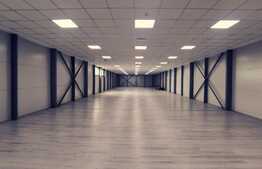 Oferta! Pachet de 2 hale la cheie si o casa, 1800 mp construiti!