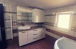 Oferta! Pachet de 2 hale la cheie si o casa, 1800 mp construiti!