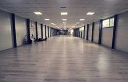 Oferta! Pachet de 2 hale la cheie si o casa, 1800 mp construiti!