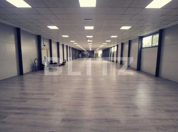 Spațiu industrial de vânzare Exterior Est - 68243SVI | BLITZ Craiova | Poza4
