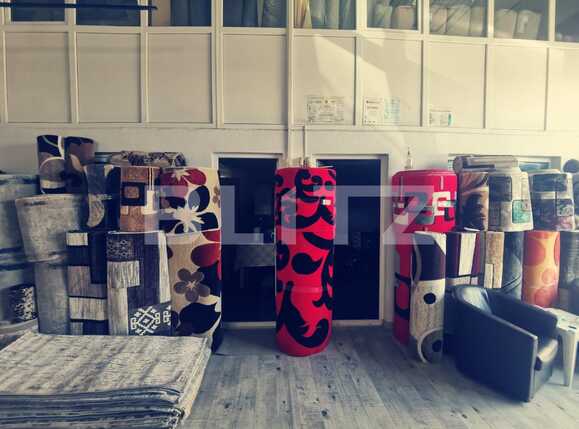 Spațiu industrial de vânzare Exterior Est - 68243SVI | BLITZ Craiova | Poza13