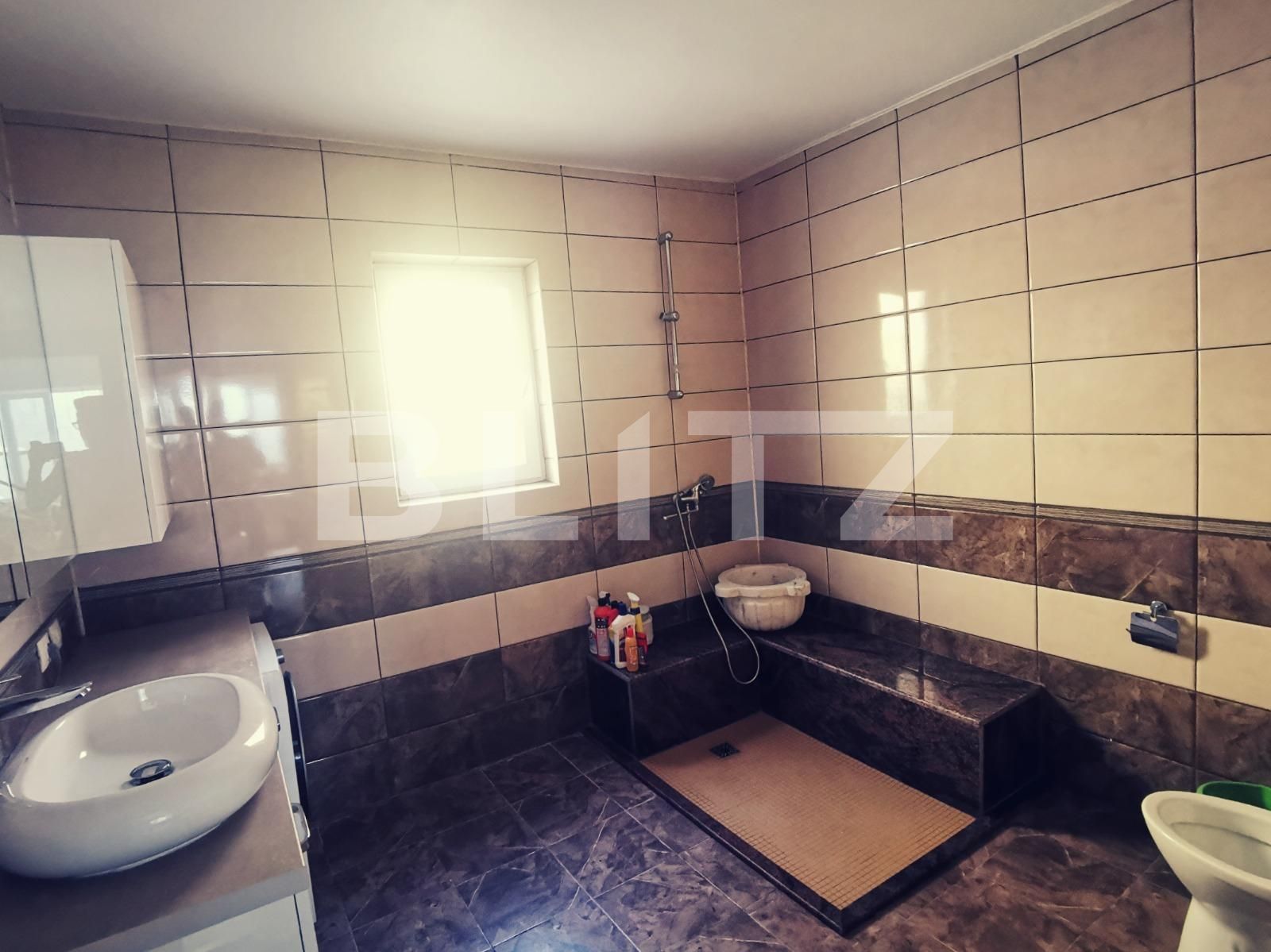 Spațiu industrial de vânzare Exterior Est - 68243SVI | BLITZ Craiova | Poza19