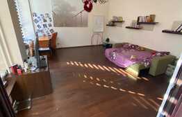 Spatiu birouri, 127 mp, Severinului zona SIF