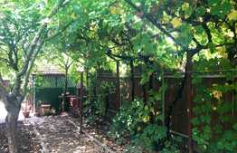 Oportunitate! Casa de 105 mp utili, 269 mp teren! Zona de interes!