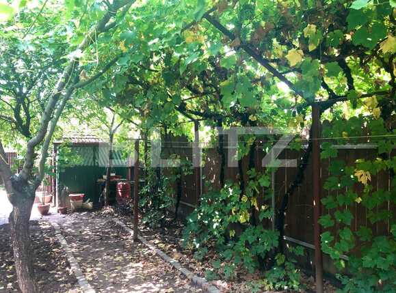 Casa de vânzare 3 camere Central - 68400CV | BLITZ Craiova | Poza10